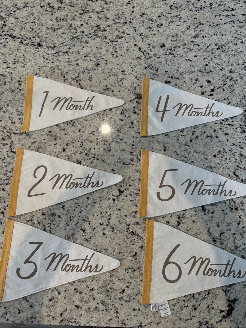 Hearth and Hand Monthly Milestone Pennant Banner - White and Gold